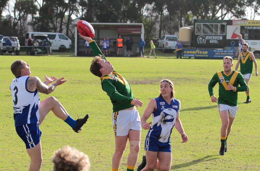 Sharks bite too much for Rovers in Mid Gippy post image