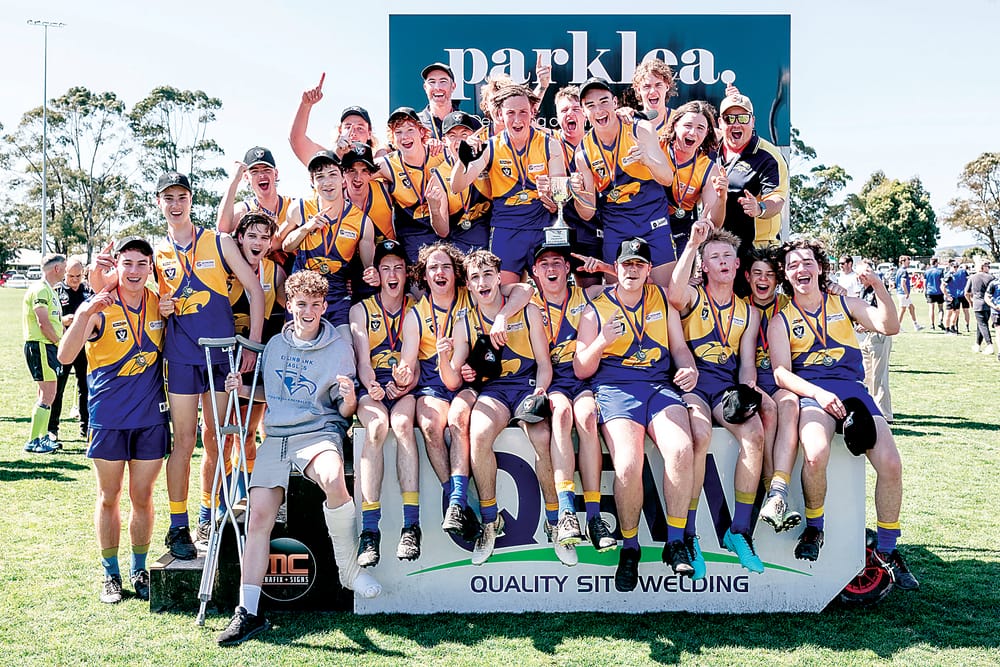 Eagles complete junior double post image