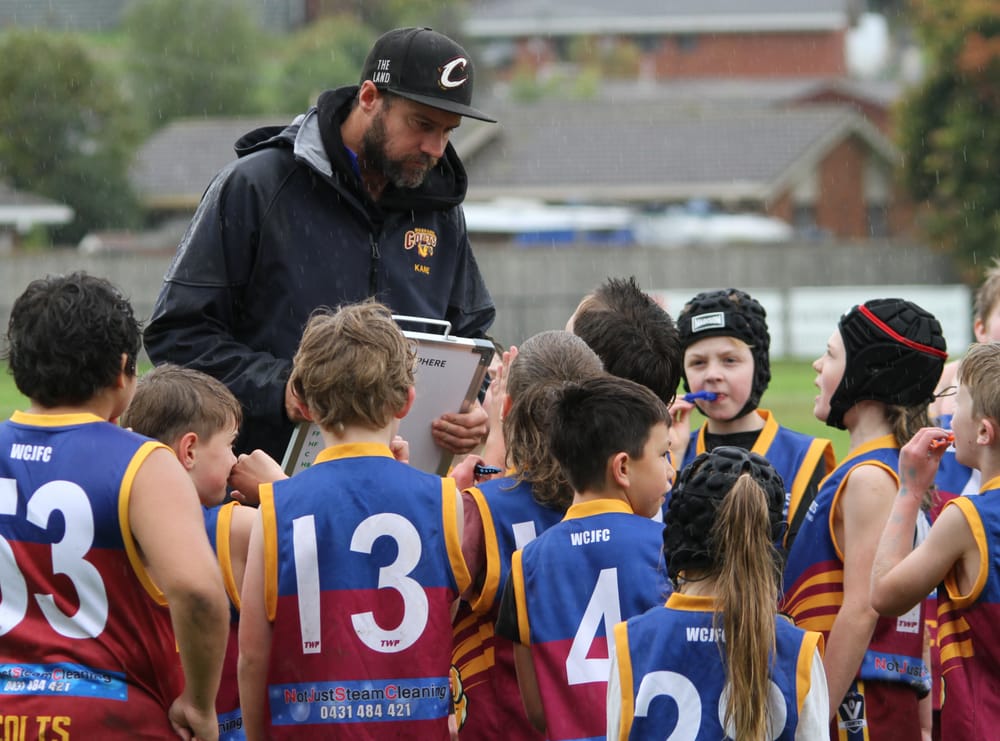 Colts out in the cold post image