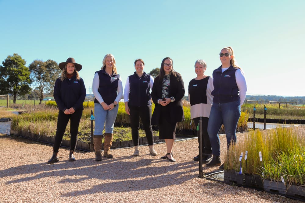 Nursery expansion grows plants and jobs post image