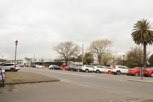 Queen St Trees - 12.09.2023 post image