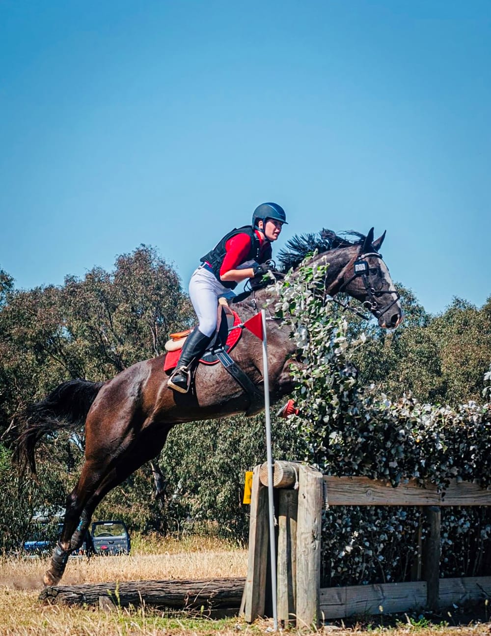 Equestrian success for St Paul's post image