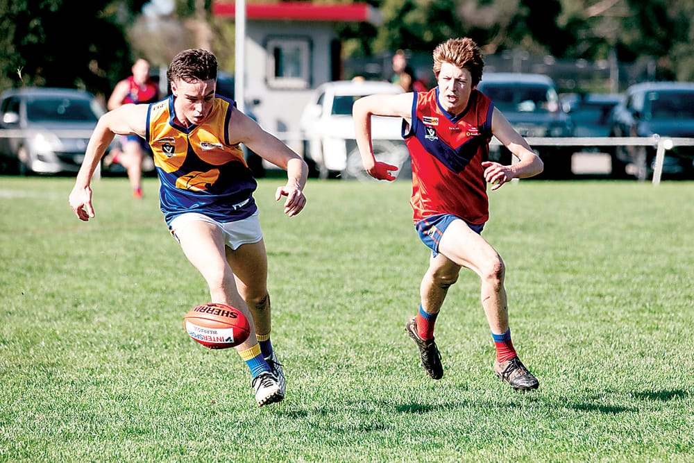 Lyrebirds see off Eagles post image