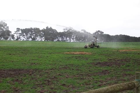 Use dairy effluent on silage growth post image