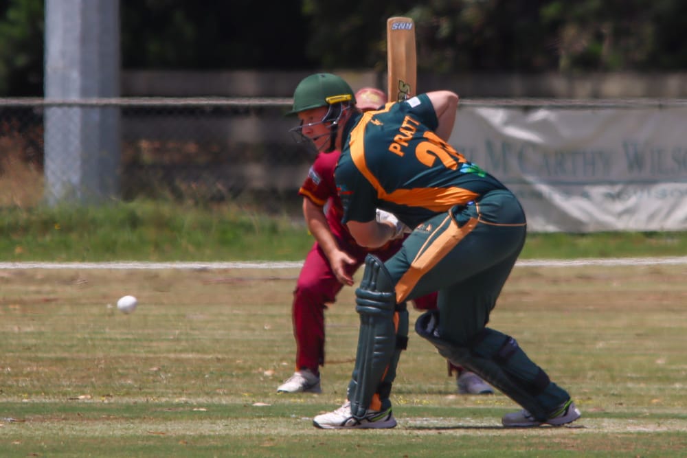 Cats crush Iona in division one post image