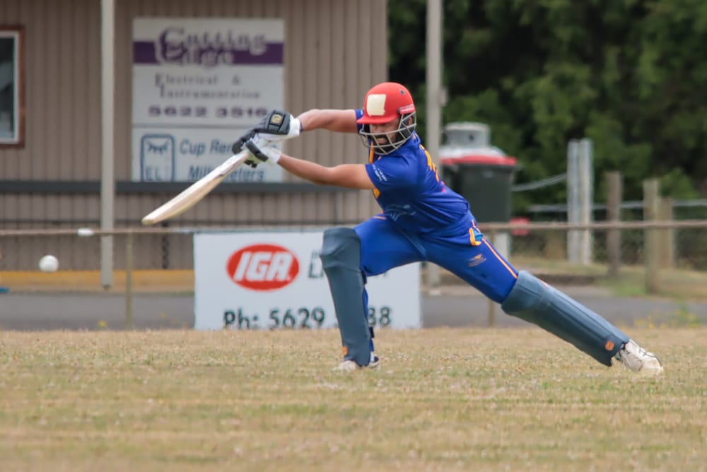 Cricket WDCA Division 1 Ellinbank vs Catani - January 17, 2026 post image