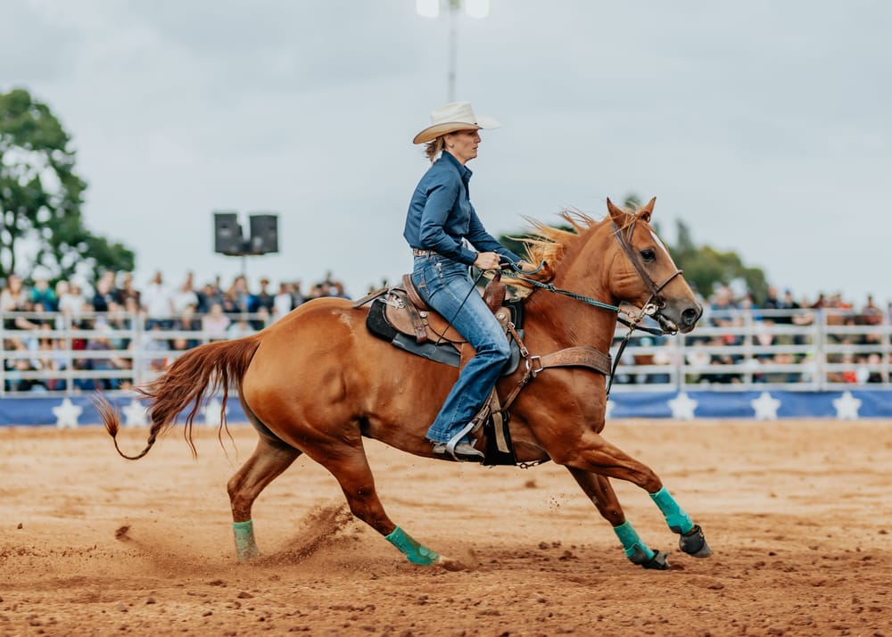 Rein-ing champions post image