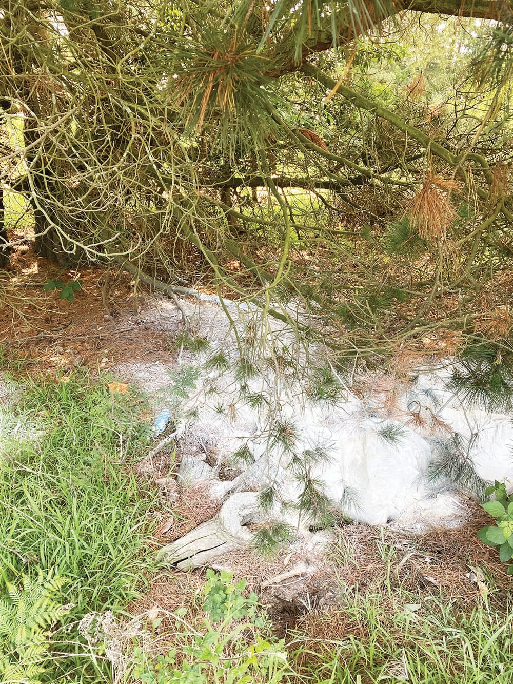 Unknown powder dumped post image