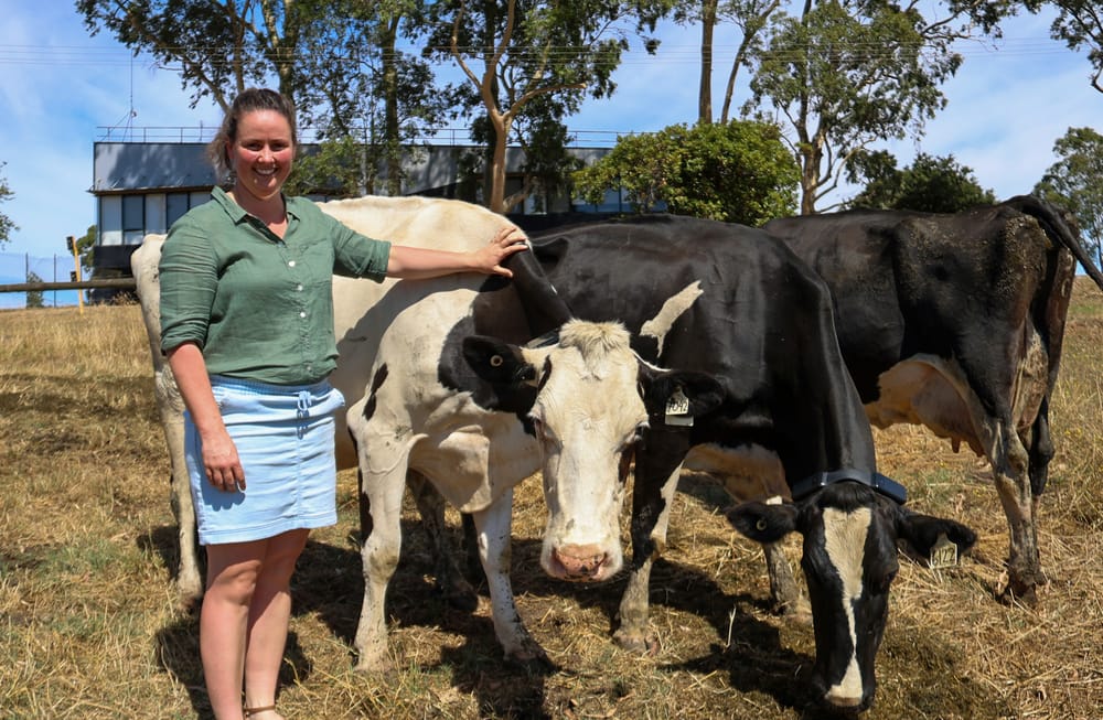 Virtual fencing product now approved post image