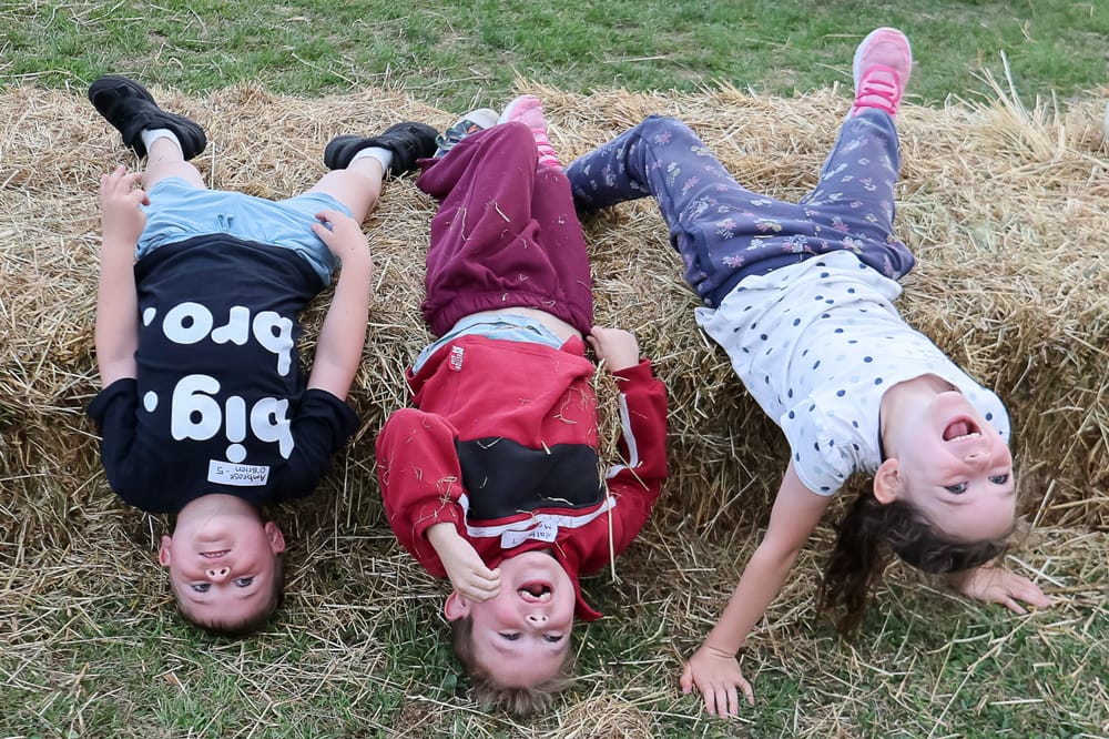 Family and fun at Ellinbank Twilight Sports post image