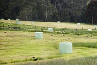 A bumper season post image