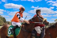 Perfect weather for Boxing Day races post image