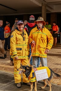 Controversial levy delayed for farmers post image