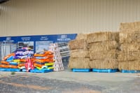 Helping hand post image