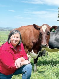 Dairy cows staying longer in the herd post image