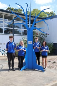 Tree becomes a talking point for students post image