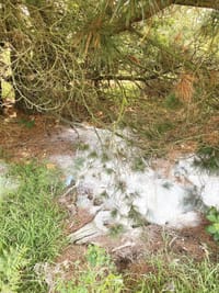 Unknown powder dumped post image