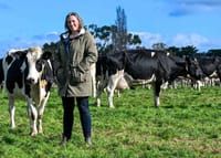 Kate continues the mentoring journey post image