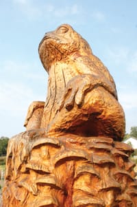 Neerim Artsfest post image