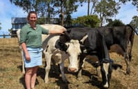 Virtual fencing product now approved post image