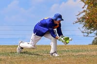 Warriors fight into finals post image