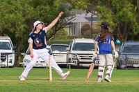Cricket WDCA Under 17s Western Park vs Catani - February 27, 2026 post image
