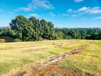 New beams secure memorials post image