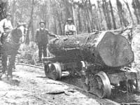 Snapshot of the past post image