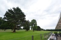 Significant vandalism at golf course post image