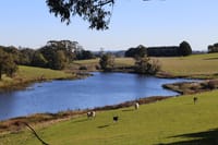 Turning ideas into action post image