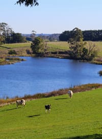 Future-proof your family farm business post image