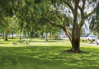 Have your say on Rawson park post image