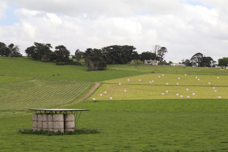 Calling agricultural women post image