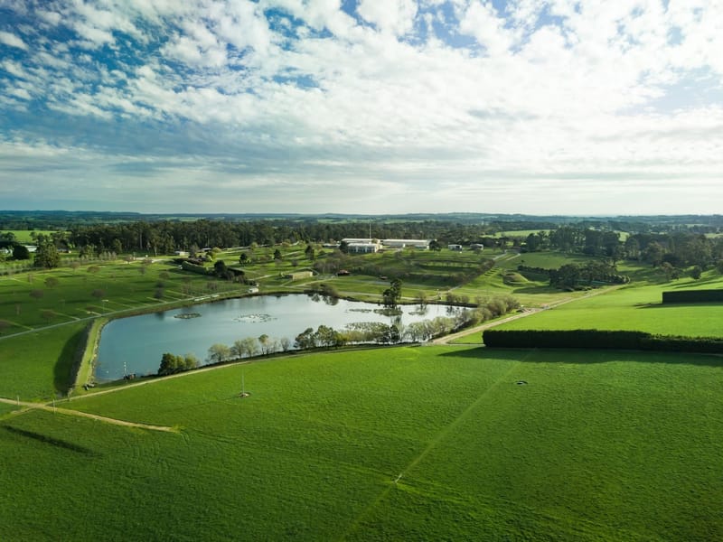 Beef day for Lardner Park post image