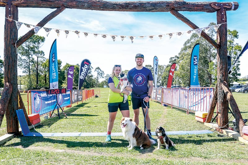 Barkin Mad helps 36 dogs in need post image