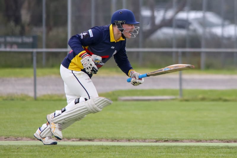 Cats by a whisker in division three post image