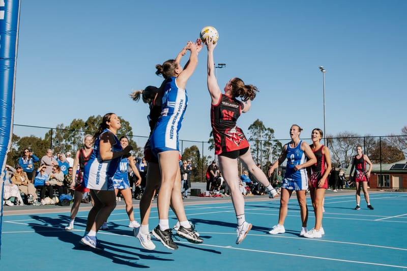 Cats defeat Bombers post image