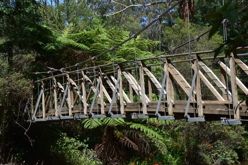 Tourism campaign launched post image