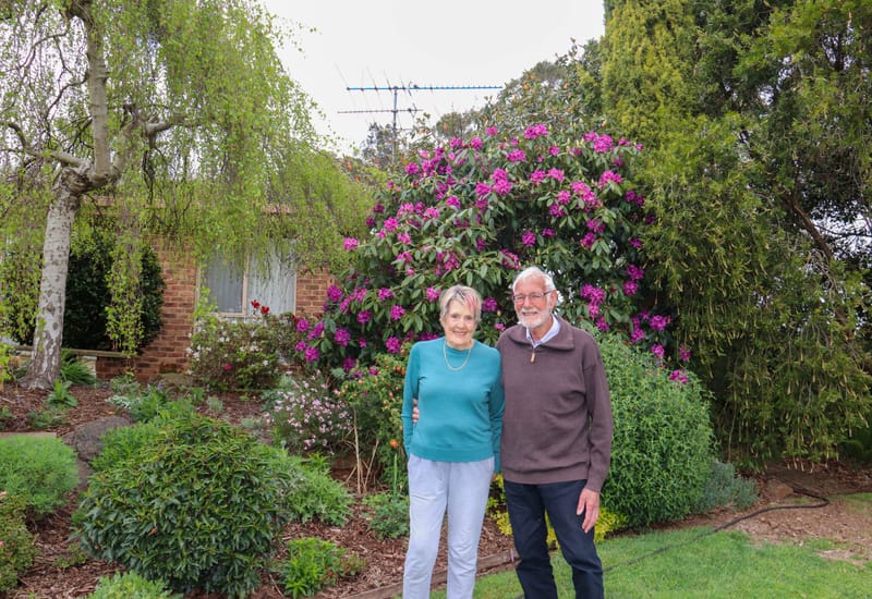 Explore a colourful local garden this weekend post image