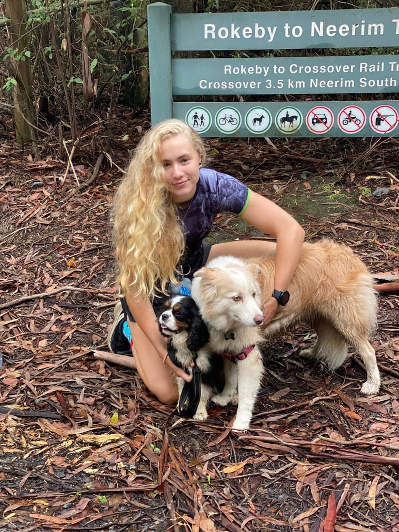 Barkin mad for running post image