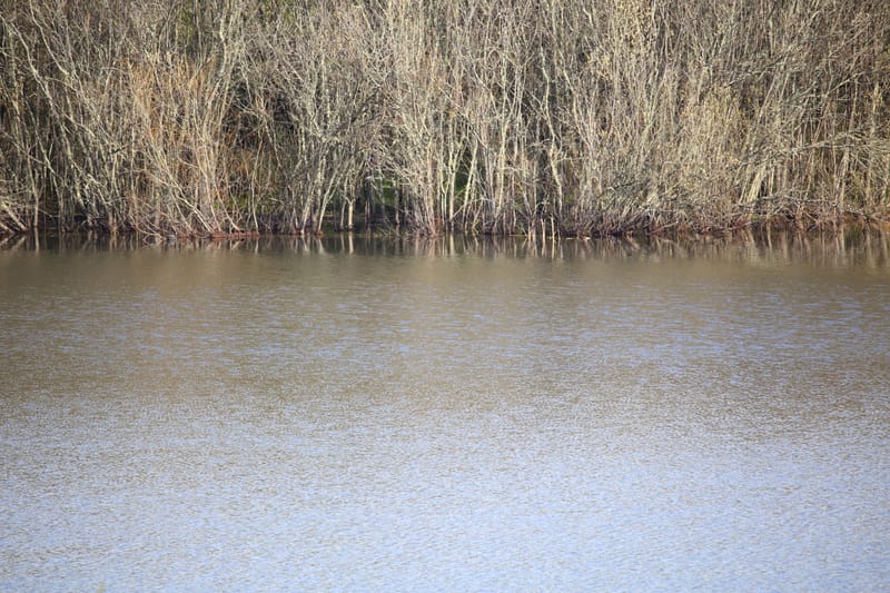 Water planning webinars post image