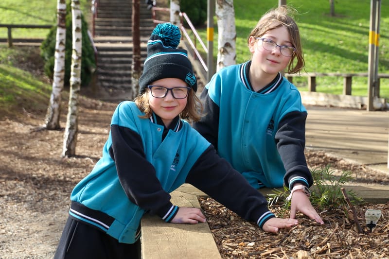 Sprouting success post image