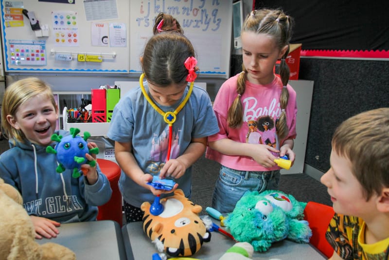 Cuddly patients have medical checks post image