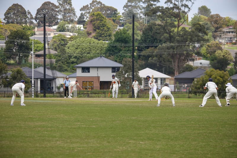 WDCA Cricket Division 1 Western Park vs Catani - November 1, 2025 post image