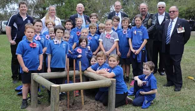 Gallipoli Oak at Labertouche post image