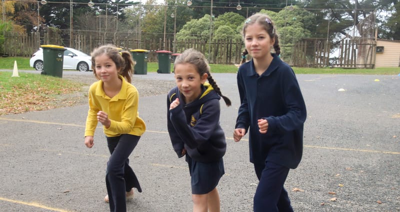 Ellinbank students run to cross country glory post image