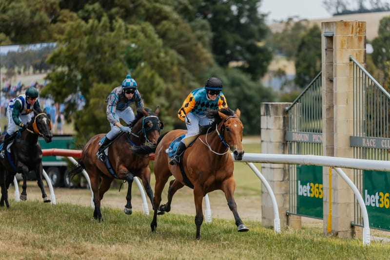 All set for a big day of Boxing Day racing post image