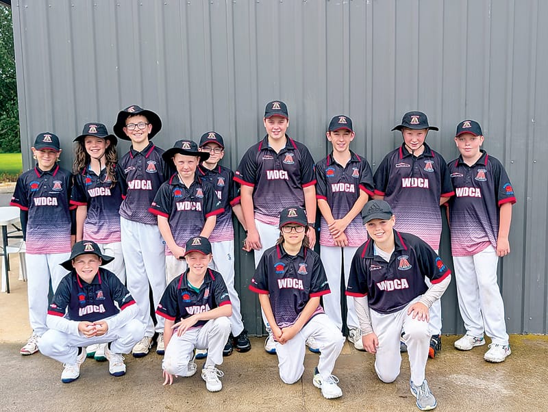 Wild Dogs off to hot start post image