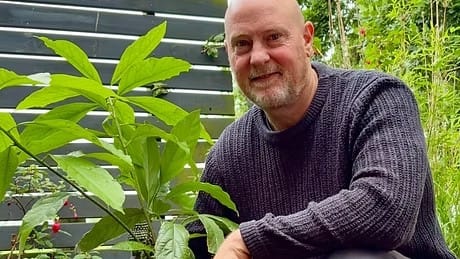 New look for Creative Harvest post image