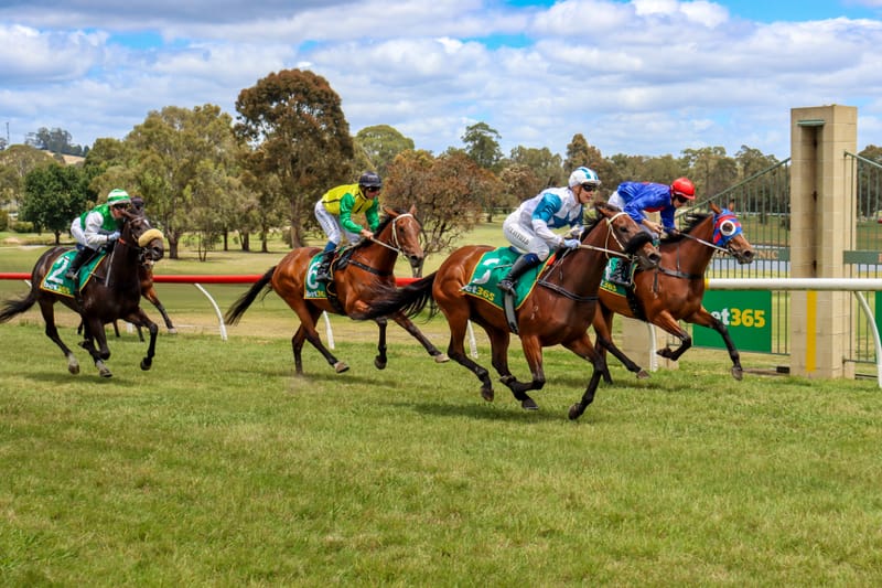 Drouin Picnic Races 2025 - December 26, 2025 post image